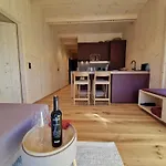 Schanzlbichl-1 By Interhome Fügen
