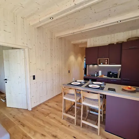 Schanzlbichl-1 By Interhome Apartment Fügen